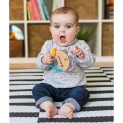 Baby Tamboerijn – Hape Tiny Tambourine -Beste Speelgoed Winkel baby tamboerijn hape 12011