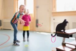 Kattenstaart Gooien – BS Toys 11 Kattenstaart Gooien – BS Toys -Beste Speelgoed Winkel kattenstaart gooien bstoys ga327 3