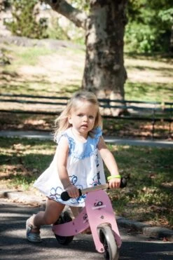 Tiny Tot Loopfiets 2 – In – 1 Kinderfeets – Loopfiets – Rose -Beste Speelgoed Winkel kinderfeets tiny tot roze loopfiets 3