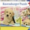 Knuffelhondjes Puzzelbox Ravensburger 3 X 49 Stukjes -Beste Speelgoed Winkel knuffelhondjes puzzel ravensburger