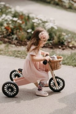 Tiny Tot Plus Loopfiets – Kinderfeets Rose 13 Tiny Tot Plus Loopfiets – Kinderfeets Rose -Beste Speelgoed Winkel loopfiets kinderfeets tiny tot plus rose 4 scaled 1