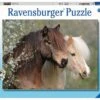 Mooie Paarden – Ravensburger – 150 Stukjes XXL -Beste Speelgoed Winkel mooie paarden ravensburger puzzel