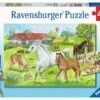 Op De Manege – Puzzelbox Ravensburger 2 X 24 Stukjes -Beste Speelgoed Winkel op de manege puzzelbox ravensburger
