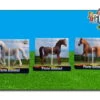 Paard Assorti Kidsglobe Schaal 1 : 32 1 Paard Assorti Kidsglobe Schaal 1 : 32 -Beste Speelgoed Winkel paard kidsglobe 571827